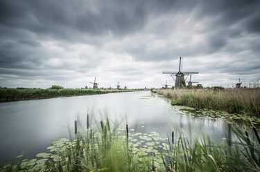 Train, Coach and Flights to Haarlem - Compare and Book Cheap Tickets